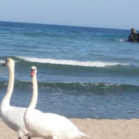 Sara Sea View Olimp Daire Dış mekan fotoğraf